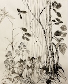 Stage Art, bien-être et nature sauvage